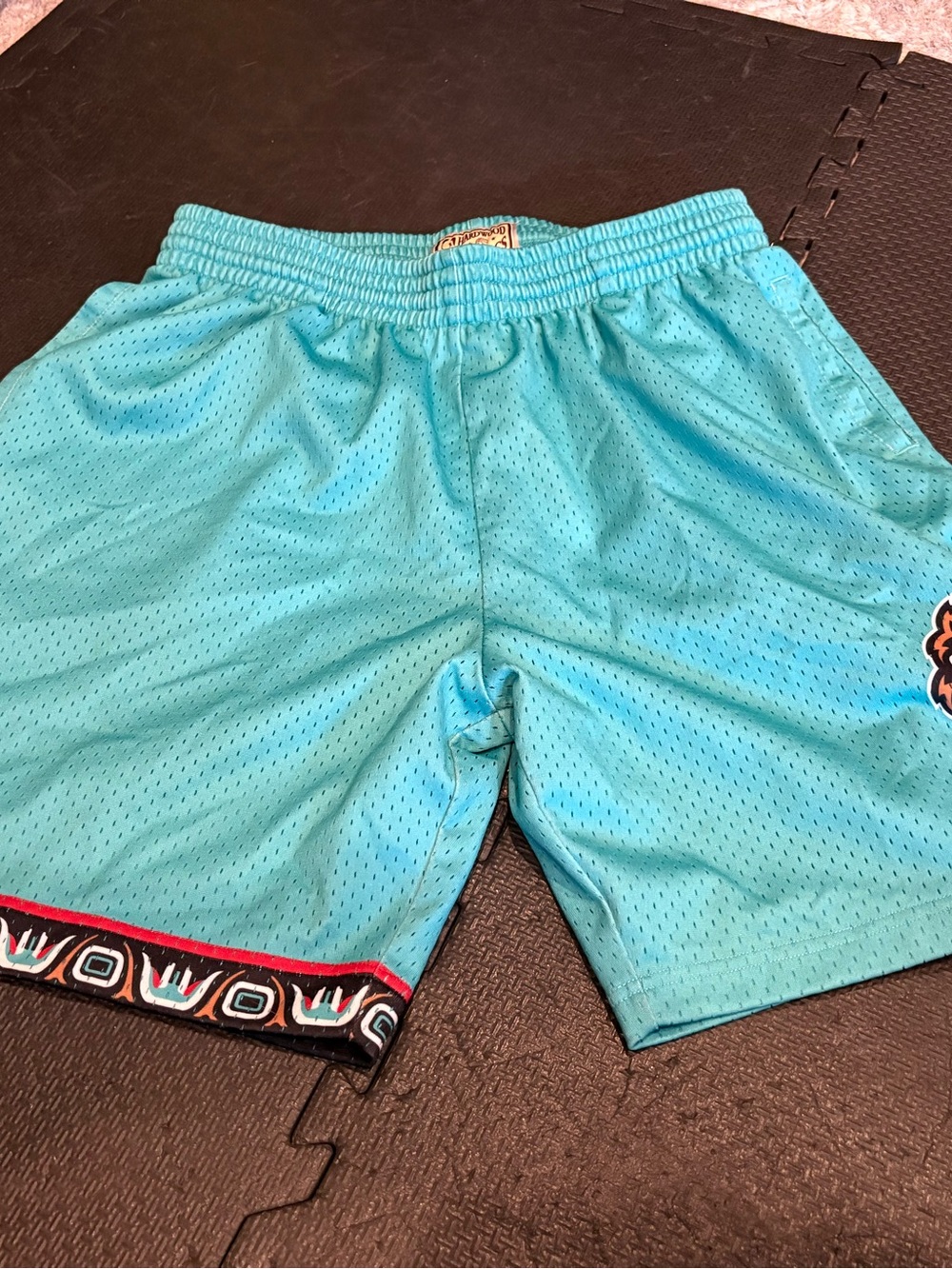 Mitchell & Ness Vancouver Grizzlies 1996-97 Swingman Shorts in Size XL.